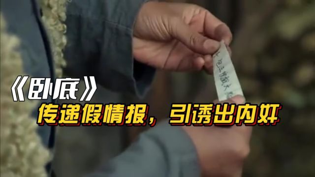 俺爹是卧底:卧底给内奸传递假情报,引诱其暴露身份.