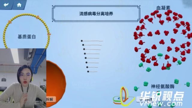 医疗器械3D仿真动画展示、发热门诊出入VR仿真教学,流感病毒分离培养鉴定VR实训