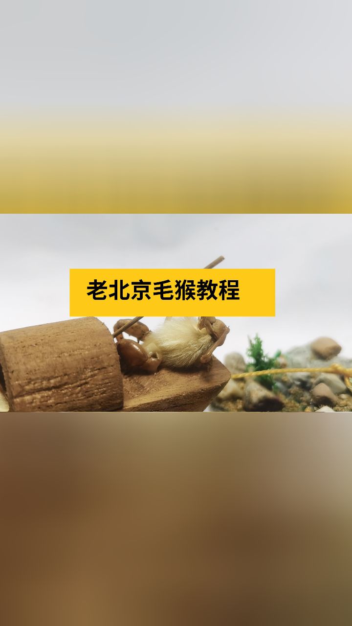 老北京毛猴制作方法图片