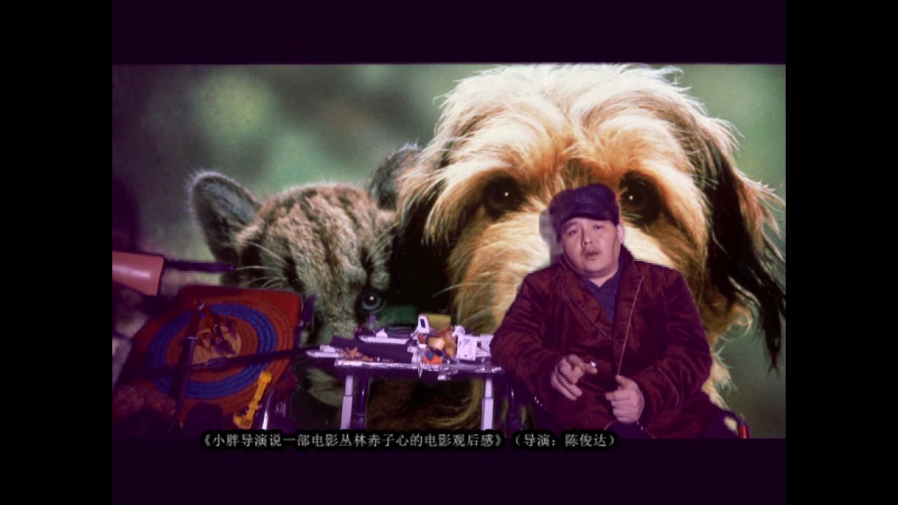 《小胖导演说一部电影丛林赤子心的电影观后感》(导演:陈俊达)