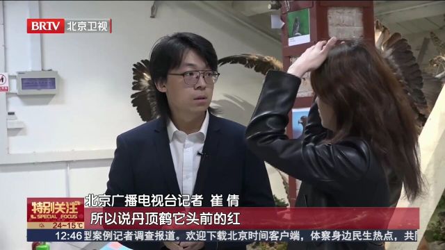 打卡高校宝藏博物馆:清华大学生命科学学院标本馆