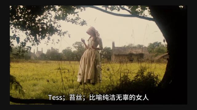 英文典故:Tess