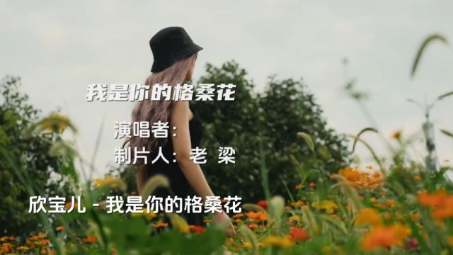 王琪原唱《你是我的格桑花》词曲凄美伤感,深情感人,催人泪下