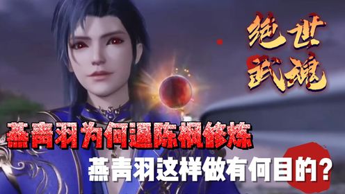 绝世武魂：燕青羽为何逼陈枫修炼，燕青羽这样做有何目的？_高清1080P在线观看平台_腾讯视频
