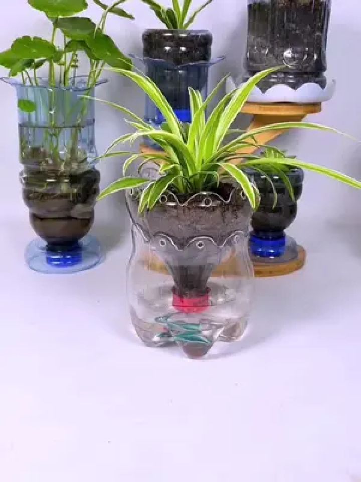 简单易学懒人吸水花盆放在办公室很适合哦,快试试吧 #塑料瓶手工制作