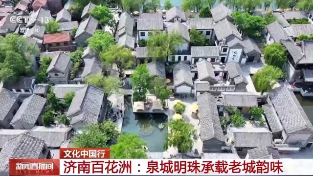 文化中国行丨行走在诗词中是什么体验?去济南百花洲感受一下