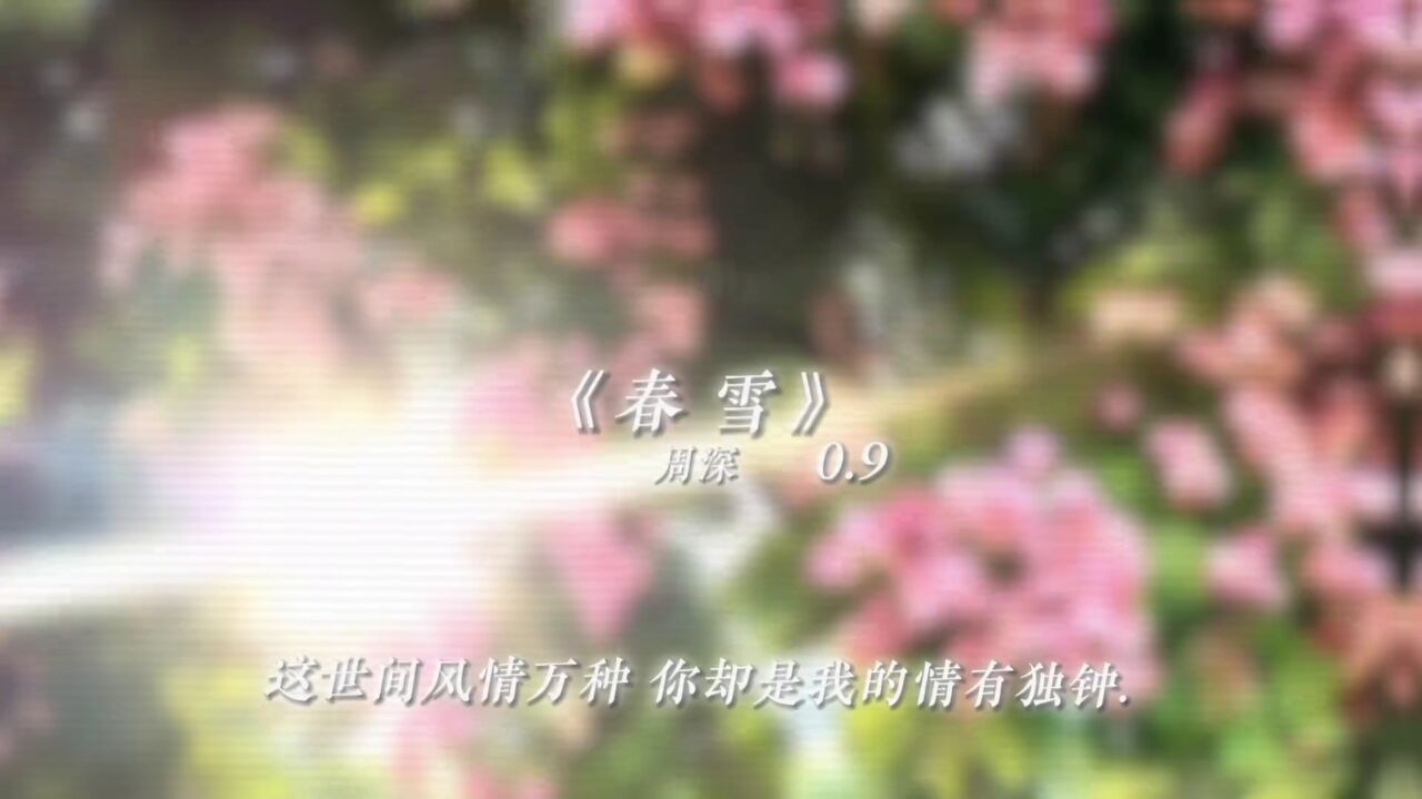 这世间风情万种你却是我的情有独钟