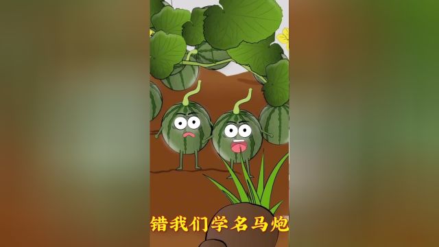 马泡瓜到底是什么瓜呢?#植物科普#动画制作#百科#原创动画