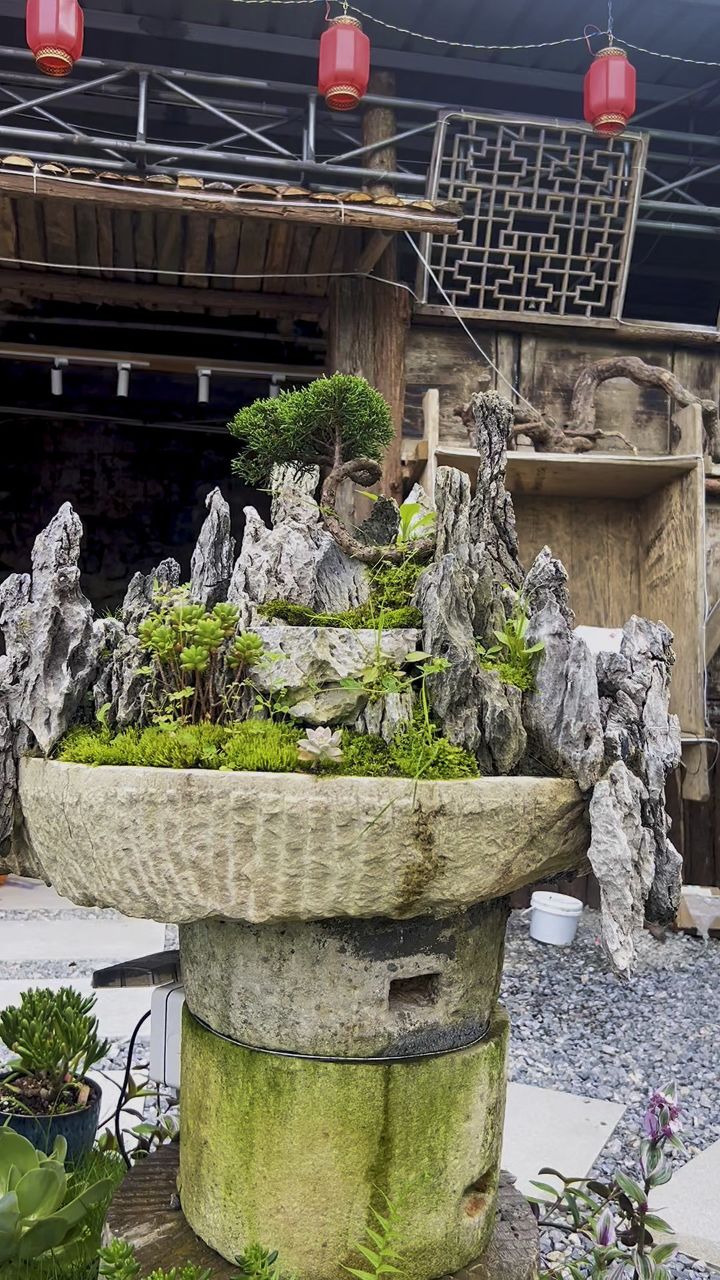 农村最美的田园风景