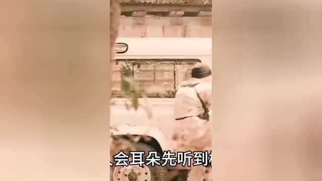 特种兵开枪声音先到子弹后到,普通士兵开枪子弹先到声音后到!#知识