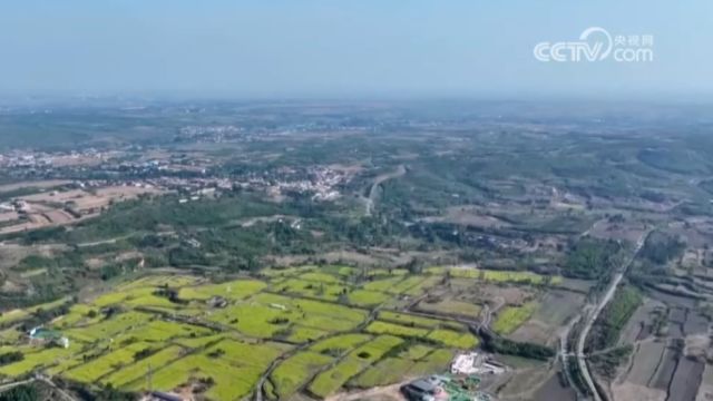 河北邯郸:游客畅游油菜花海,乐享田园风光