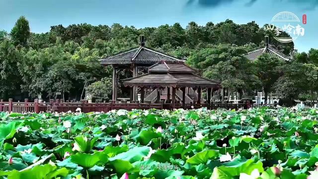 薰风南来,碧海湛江.连雨轻去,夏日始启.