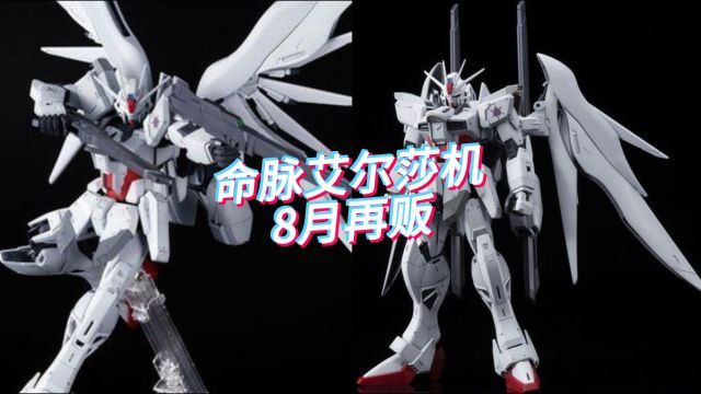 PB限定 MG 命运脉冲高达Blanche 8月再贩!5200日元!