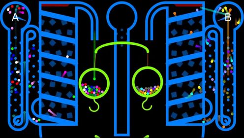 线条小球成了中间平衡的杠杆，最终什么颜色小球会成为冠军
