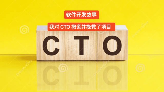 软件开发故事  我对 CTO 撒谎并挽救了项目