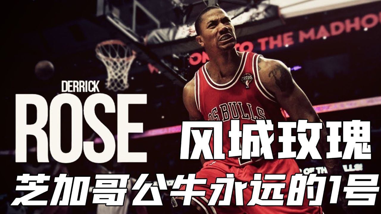 玫瑰永不凋零-罗斯:芝加哥不只有篮球之神,1号玫瑰也是风城的骄傲!