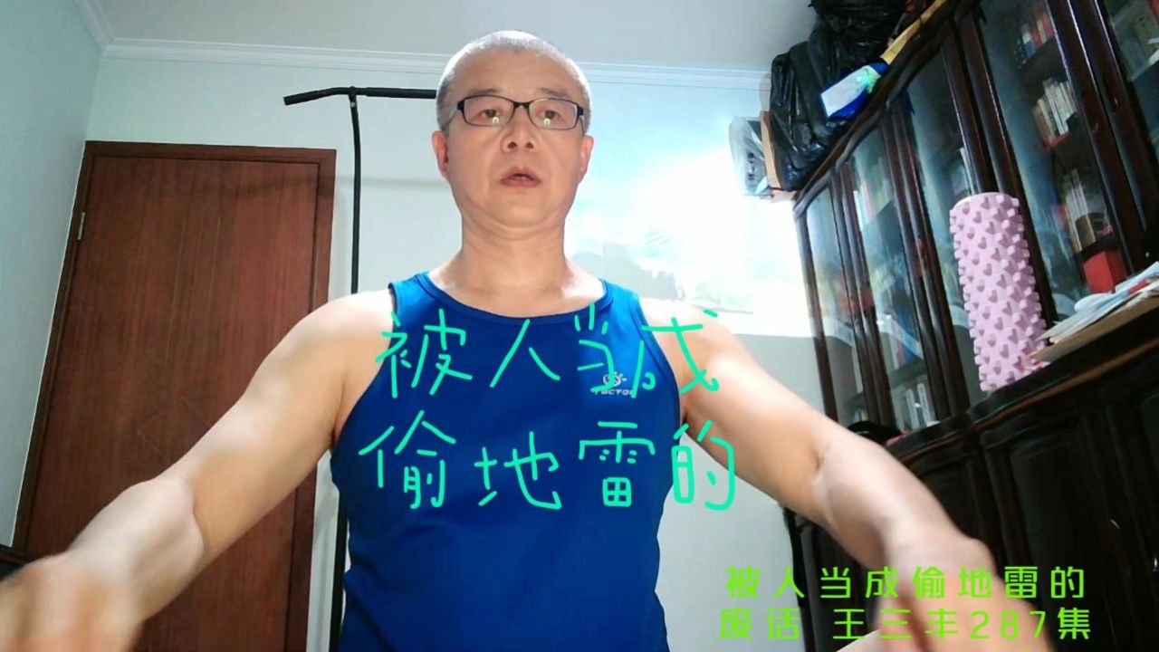 被人当成偷地雷的#废话 王三丰287集