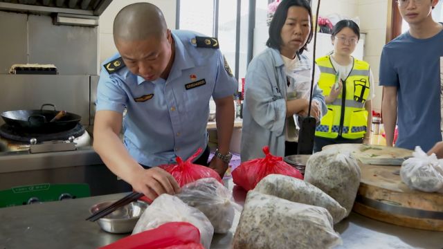 视频丨炎陵: “清风行动” 为野生动植物筑牢“保护网”