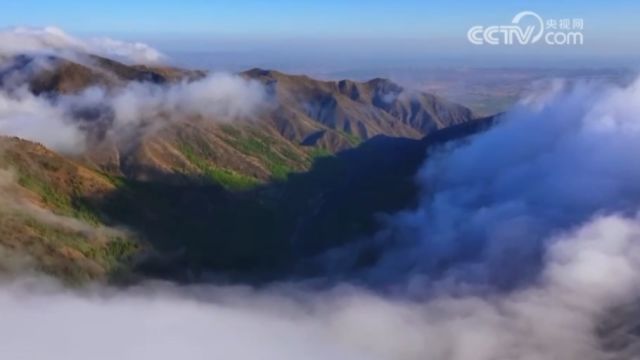 宁夏海原南华山出现云海:云海雾涛环绕,壮美胜似仙境