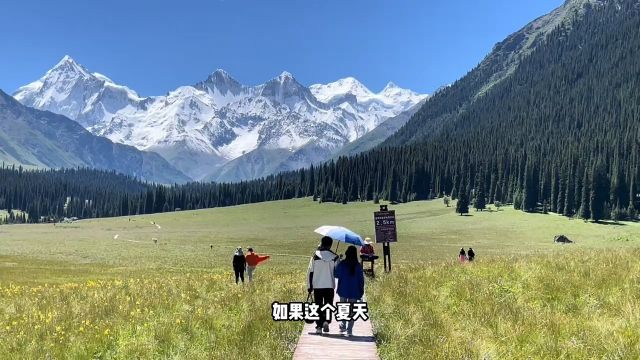 伊犁超美的雪山冰川:夏塔,收藏好这份超全攻略,艾特你的姐妹、男朋友女朋友,这个夏天一起来新疆看雪山吧