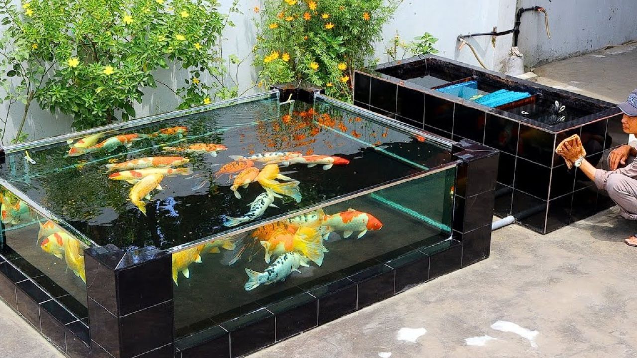 如何用 4 个玻璃制作凉爽的后院锦鲤池 - 设计和装饰