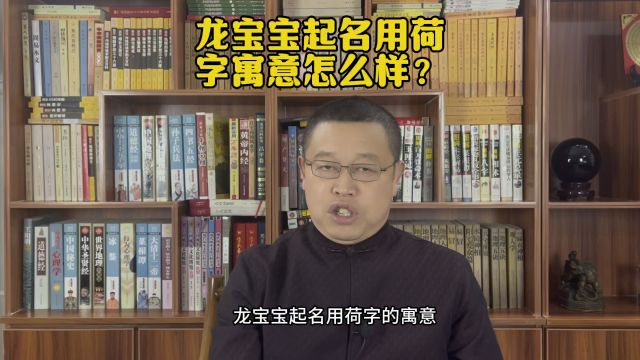 起名字,龙宝宝起名用荷字寓意怎么样?秦华国学起名