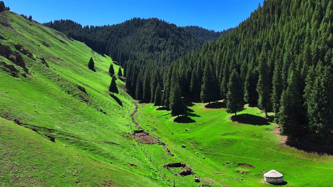 千城胜景|新疆吉木萨尔县:芳草萋萋 山清水秀