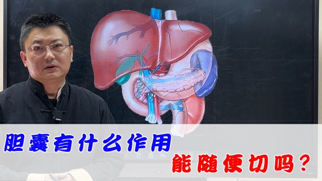 胆囊有什么作用?胆结石患者是可以随便切除的吗?