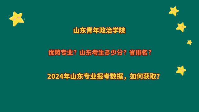 山东青年政治学院,山东考生需要多少分?2024山东专业报考数据