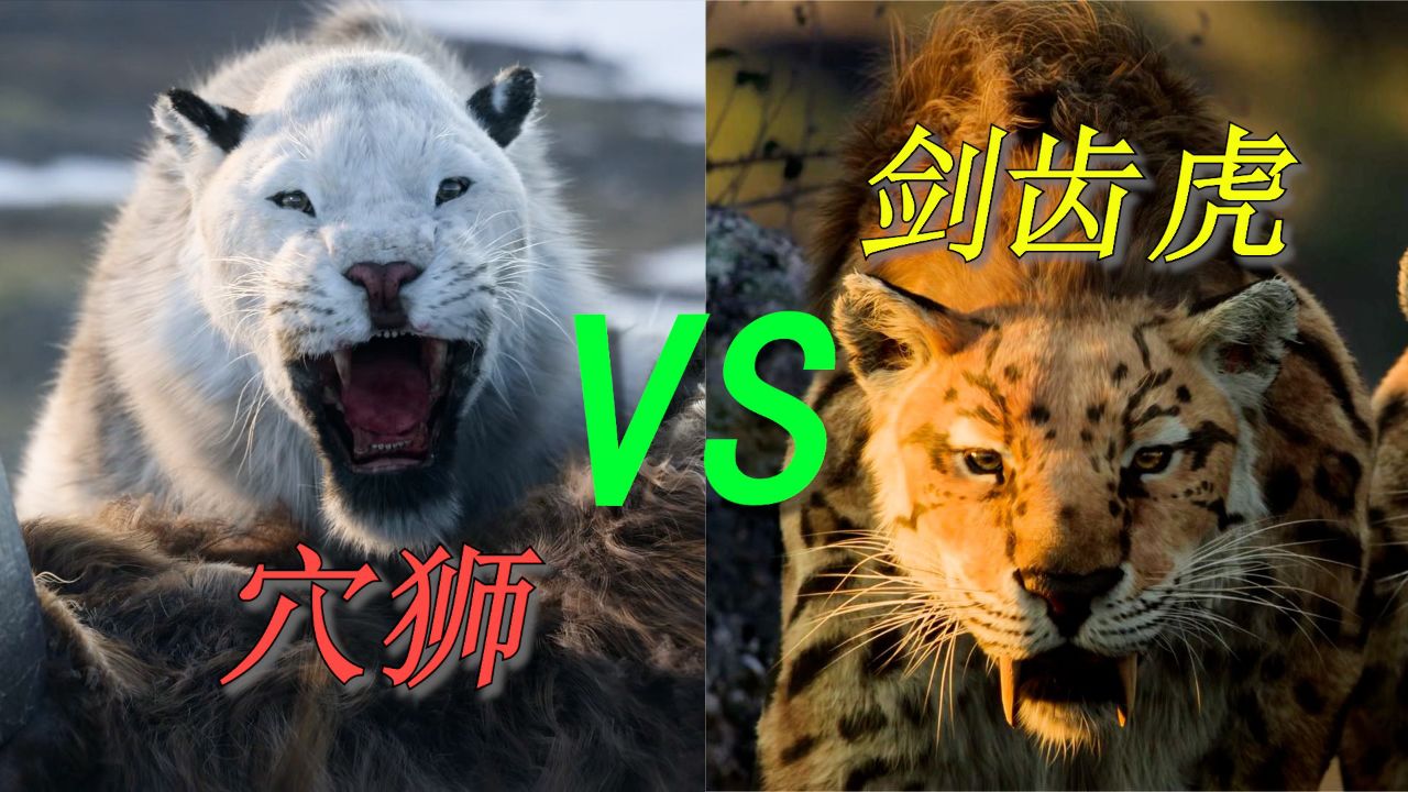 剑齿虎对比穴狮,谁是冰河时期真正的霸主!