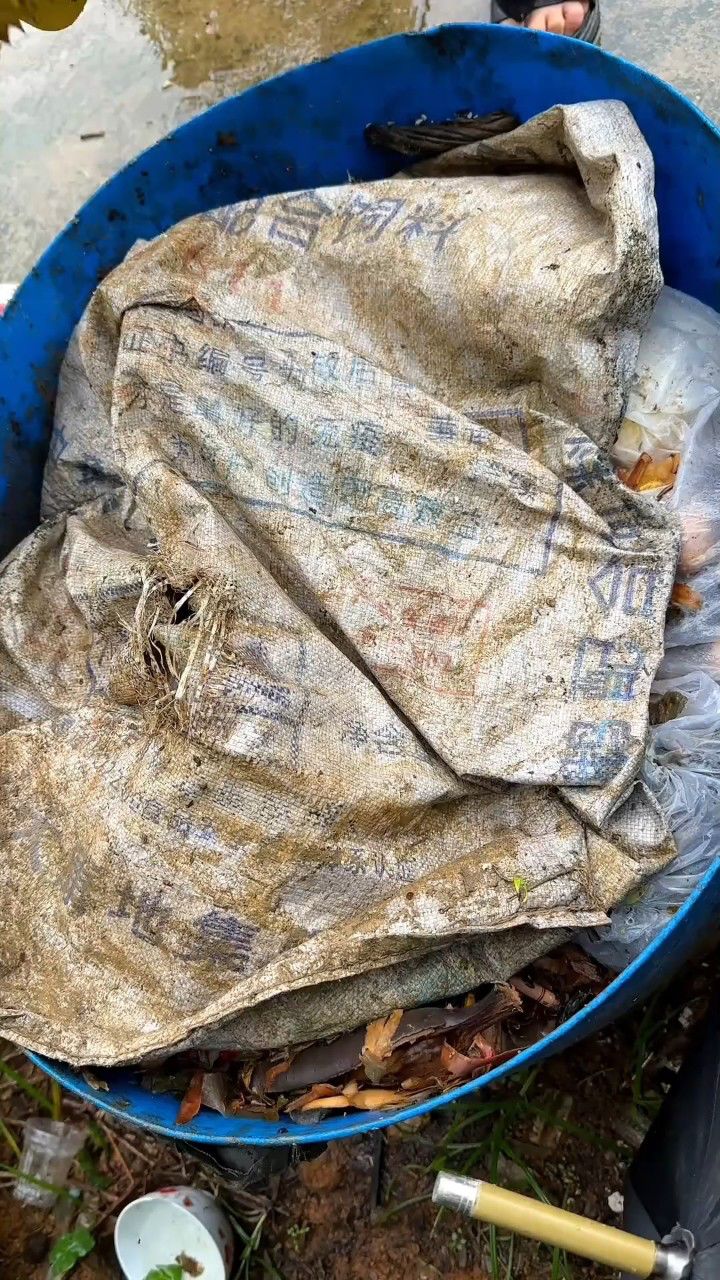 伯母旅游带回来的榴莲说坏了 全部倒垃圾桶