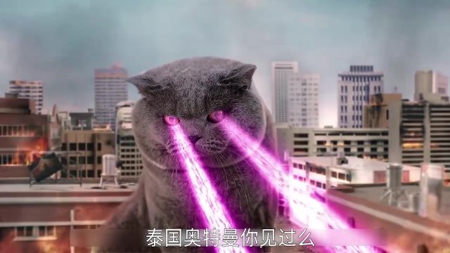 猫斯拉攻击城市,泰国派出女奥特曼!