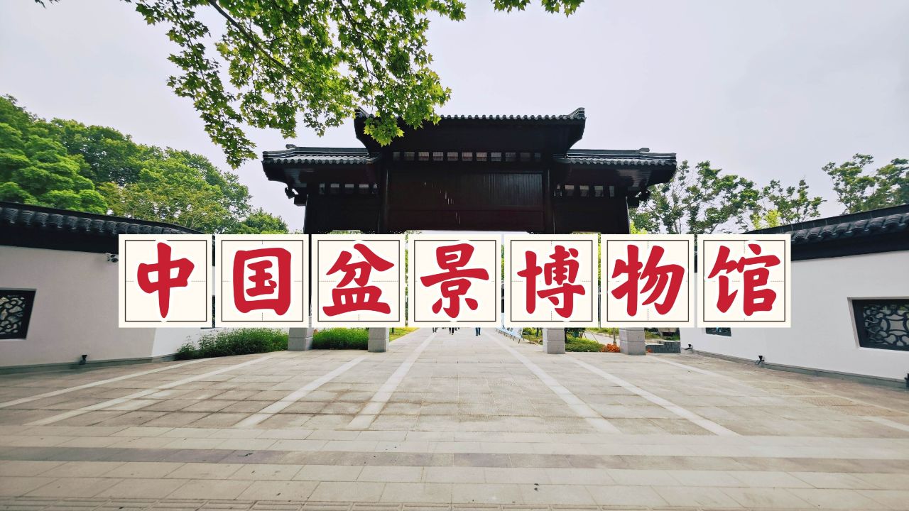 泰州中国盆景博物馆,它已初具雏形,和我走入泰州盆景的前世今生