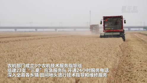 麦收故事｜“豫北粮仓”迎来大面积机收