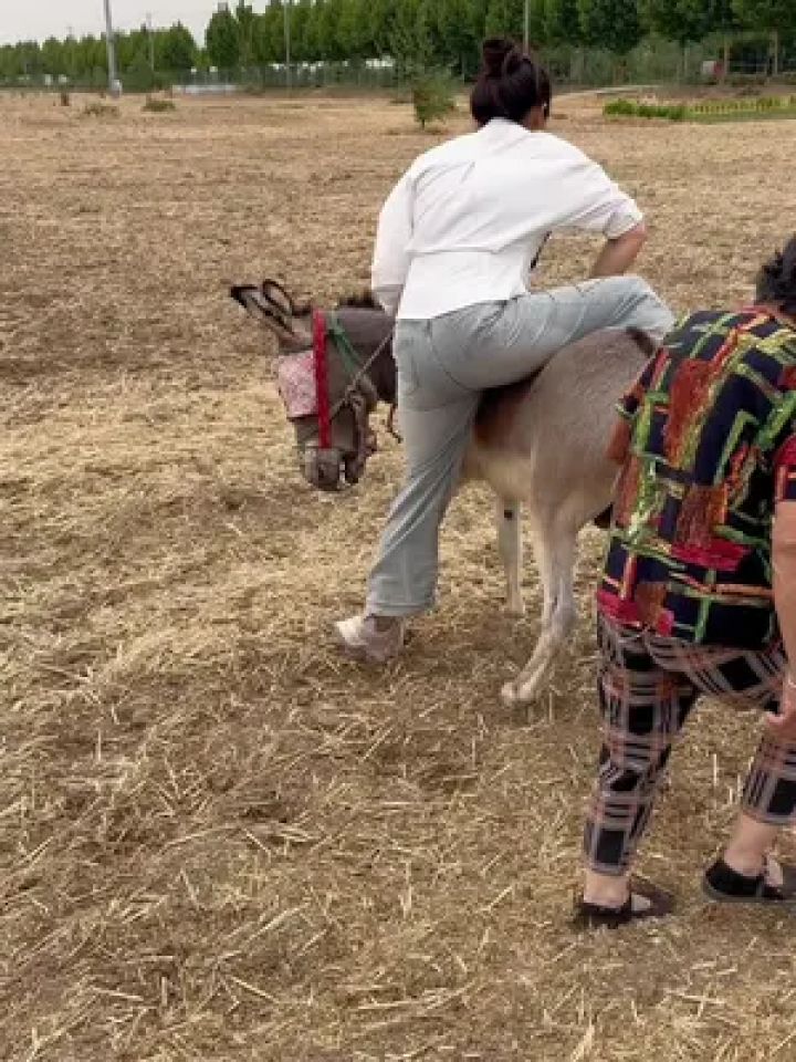 非要骑俩个人吗可管心疼一下驴#以我为名 #剧情