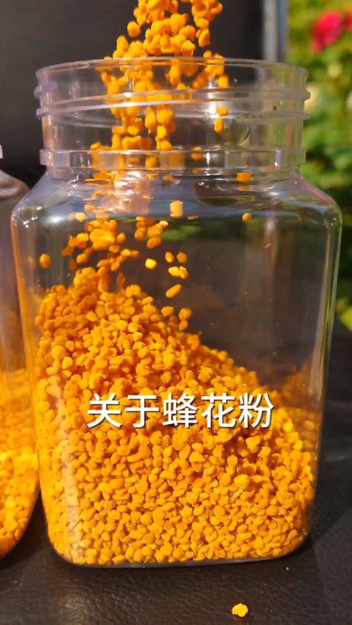 蜜蜂是昆虫吗花粉图片