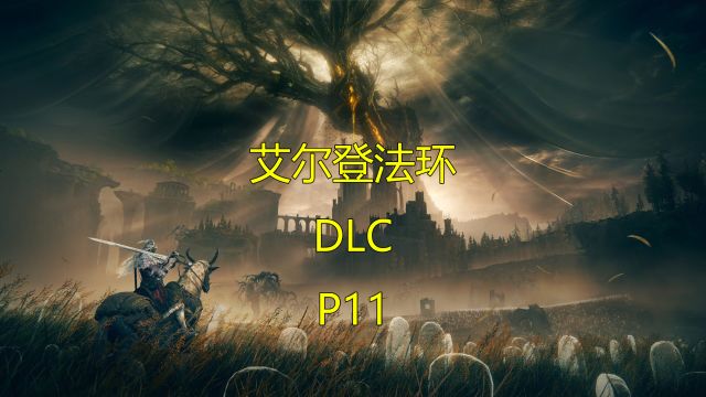 《艾尔登法环DLC》游戏解说P11:宝藏库