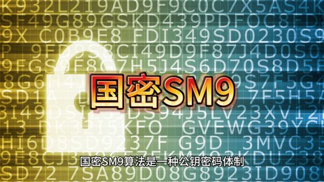 公钥密码体制SM9