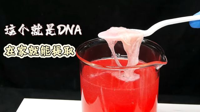 提取DNA有多简单?自己在家就能弄,没那么高大上