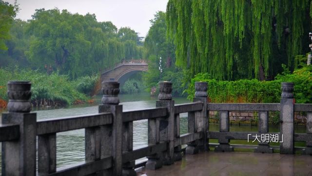 荷影轻摇 雨绘大明湖