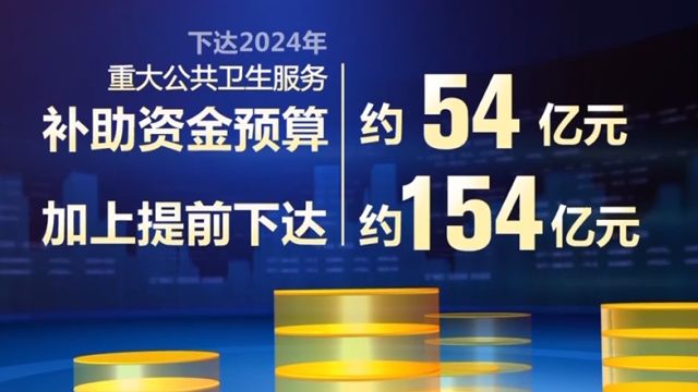 2024年重大公共卫生服务补助资金下达