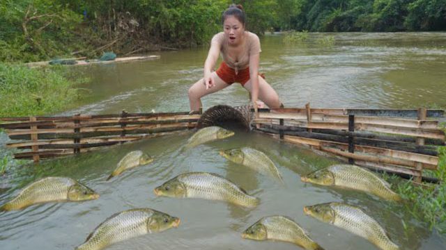 越南美女编竹篓,用竹条编陷阱放在河道里抓鱼,带大家见识一下