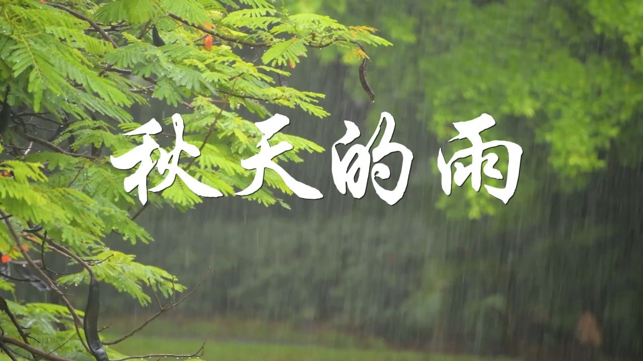 秋天的雨-小学语文课文朗诵,秋天主题诗歌,秋天素材,少儿朗诵配乐背景