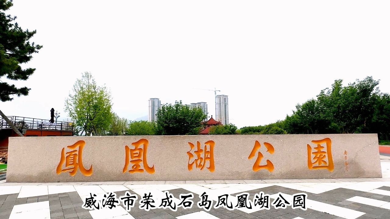 威海市荣成石岛凤凰湖公园二零二四年七月十八日星期四上午九点钟拍摄