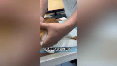 腾讯视频