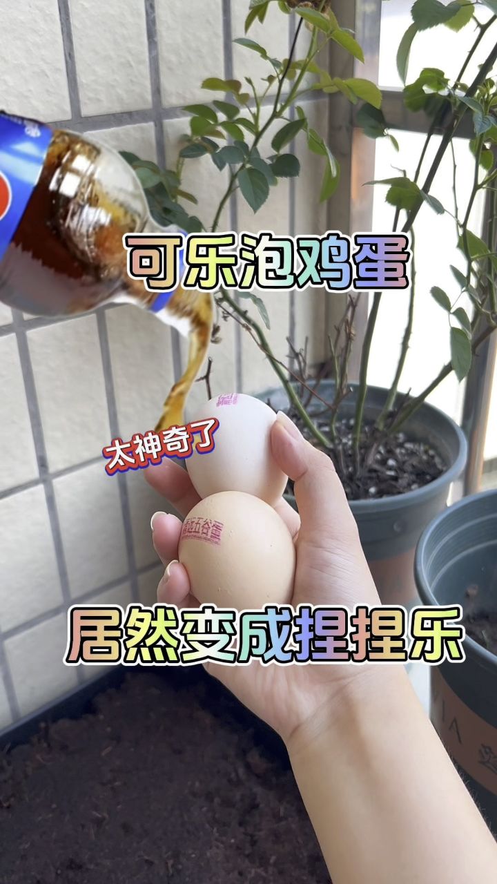 可乐泡鸡蛋居然能变捏捏乐