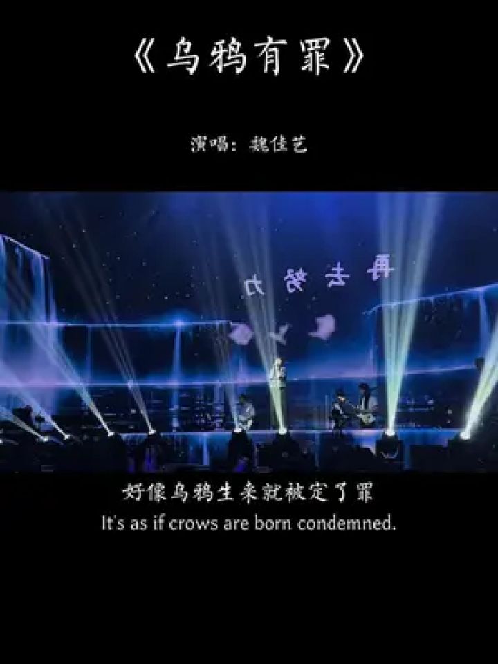 "在乌鸦的世界里,天鹅也有罪,不要和重要的人,计较