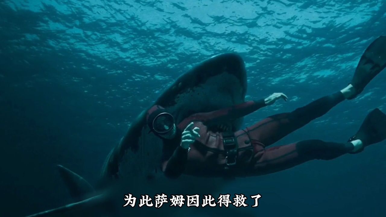 2024年最新惊悚片《逃鲨》十部鲨鱼作品中最后怕的电影!