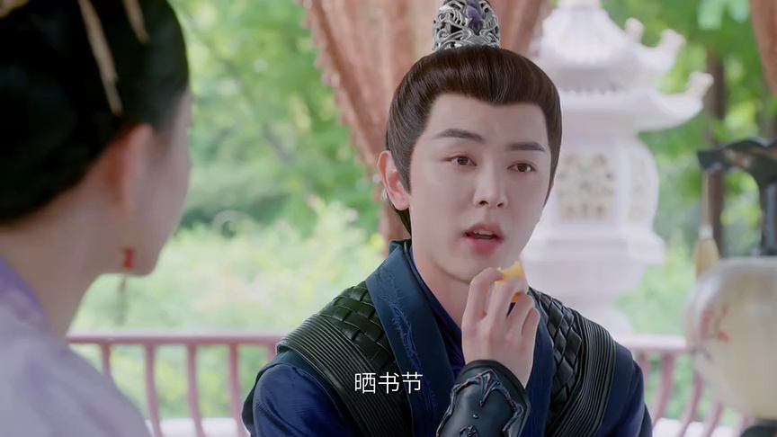 坠落画境的你 9集