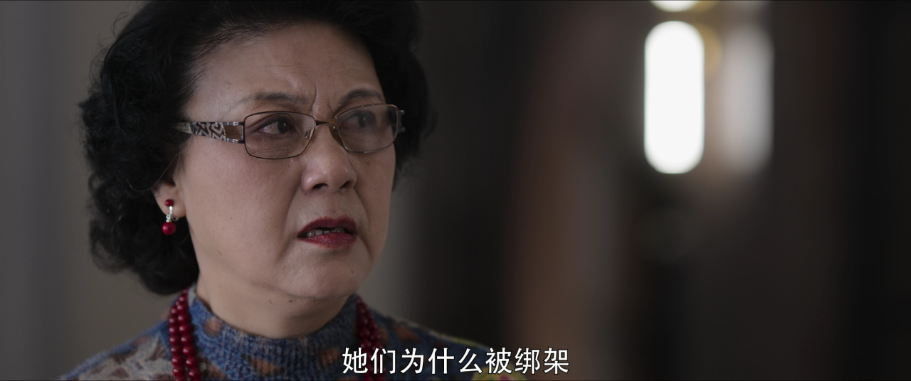 女巡特警之蜂鸟突击队 20集